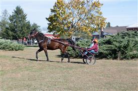 LR-WRF 10182025 Retreat-6532